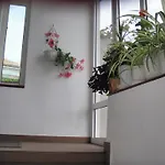 House Prodanovi 4*