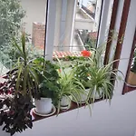 House Prodanovi Penzion 4*