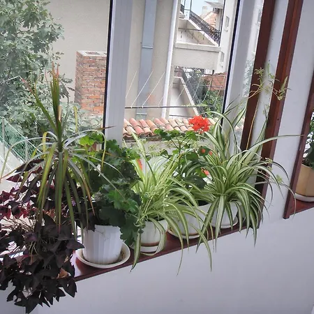 House Prodanovi Pensjonat 4*